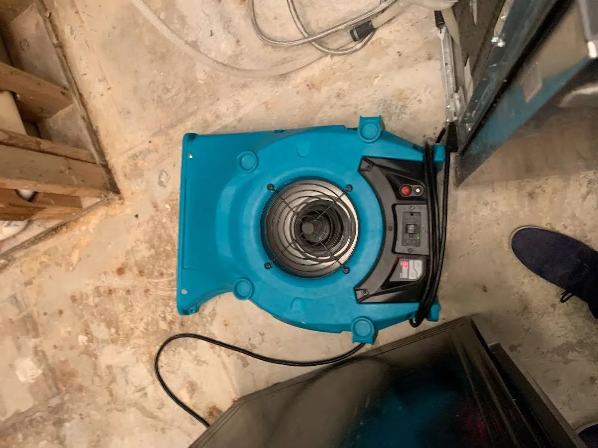 Air mover drying equipment for Mold Remediation & Removal in Gilford